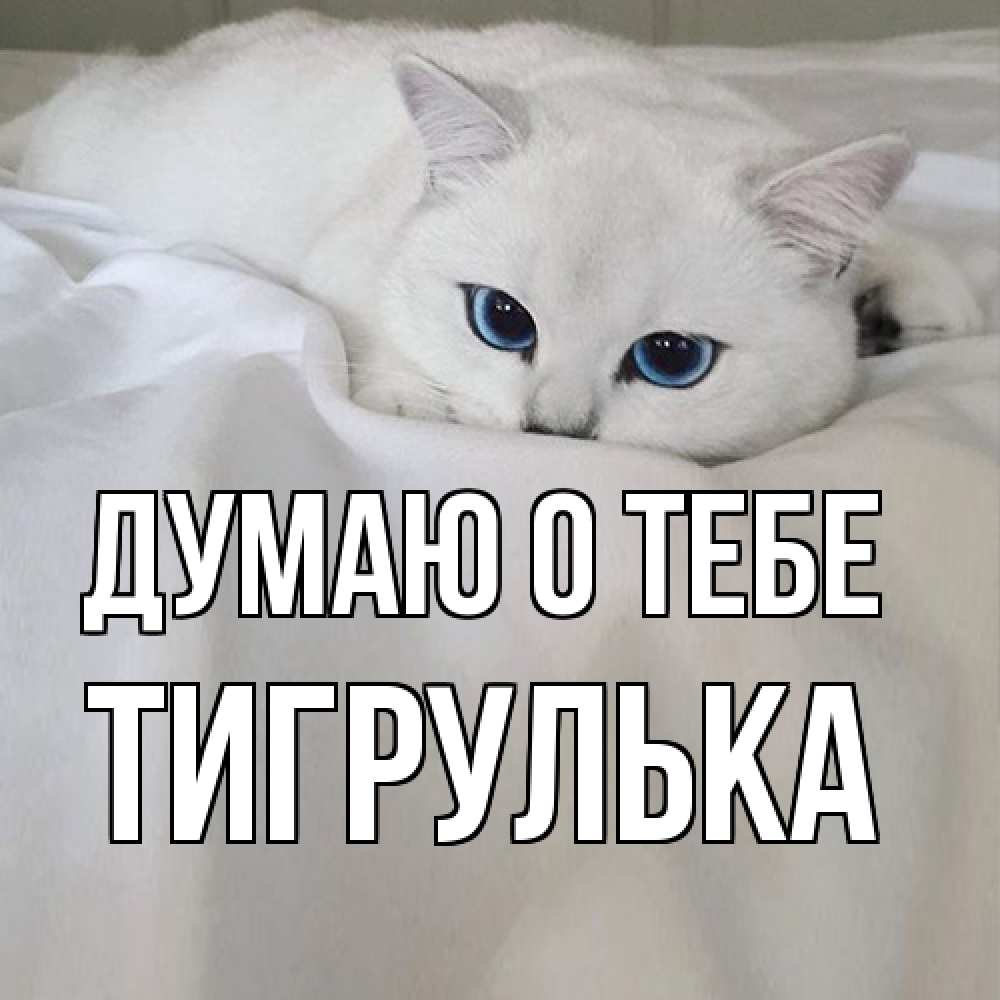 Открытка на каждый день с именем, тигрулька Думаю о тебе я очень по тебе скучаю и тоскую Прикольная открытка с пожеланием онлайн скачать бесплатно 