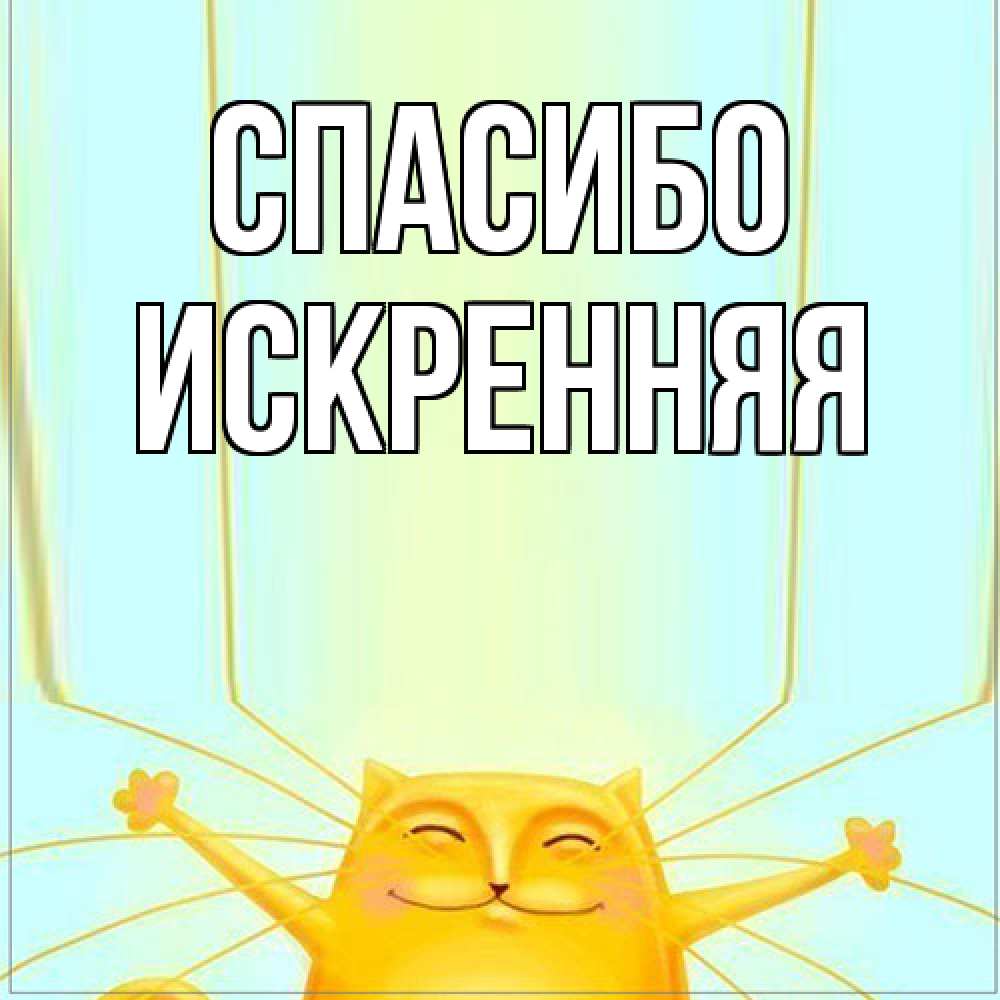 Открытка на каждый день с именем, Искренняя Спасибо кот с усами благодарит Прикольная открытка с пожеланием онлайн скачать бесплатно 