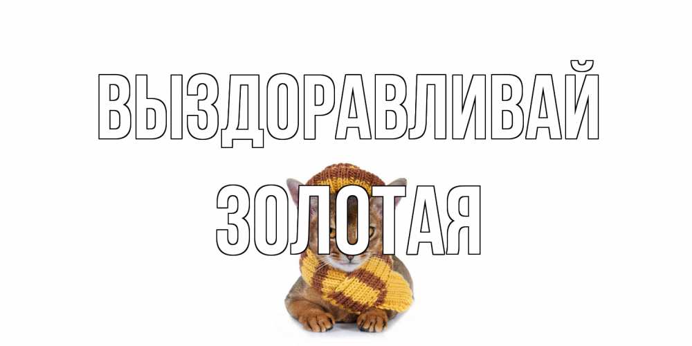 Открытка на каждый день с именем, золотая Выздоравливай родные не болейте Прикольная открытка с пожеланием онлайн скачать бесплатно 