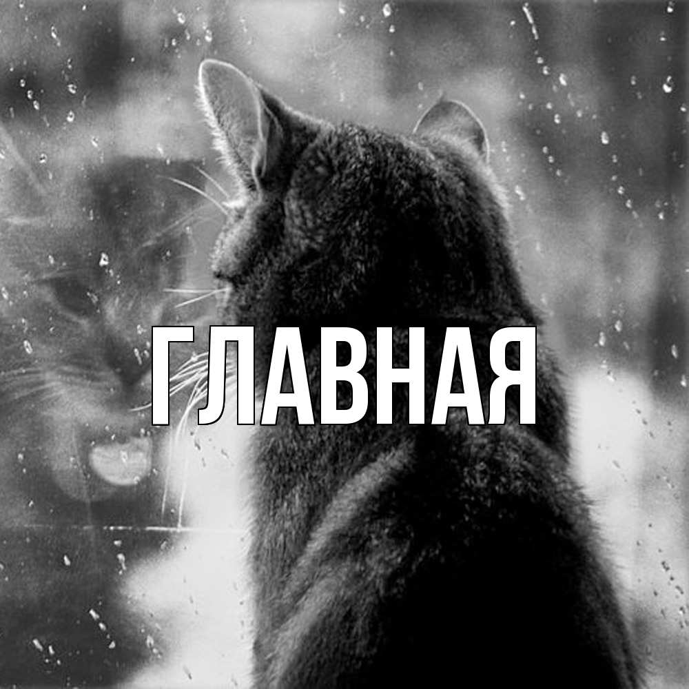 Открытка на каждый день с именем, настя Главная скорее ко мне приходи 1 Прикольная открытка с пожеланием онлайн скачать бесплатно 