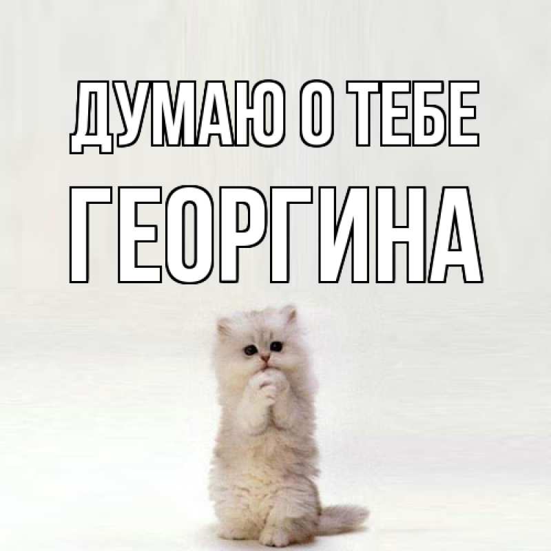Картинка Думаю о тебе, Георгина
