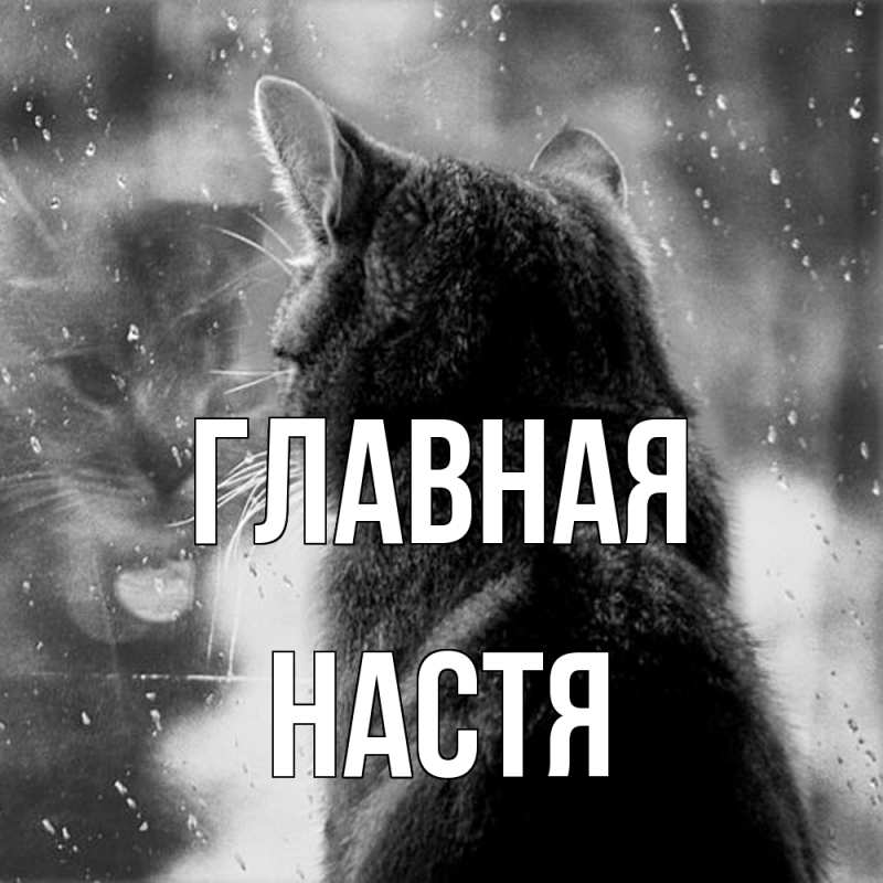 Картинка  с именем , настя