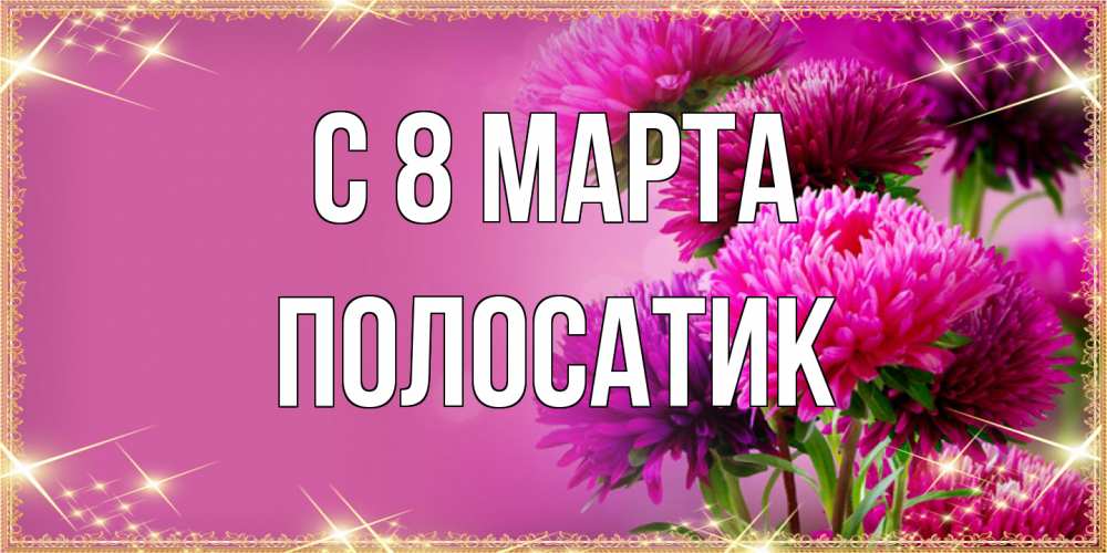 Открытка на каждый день с именем, полосатик C 8 МАРТА садовые цветы на 8 марта Прикольная открытка с пожеланием онлайн скачать бесплатно 