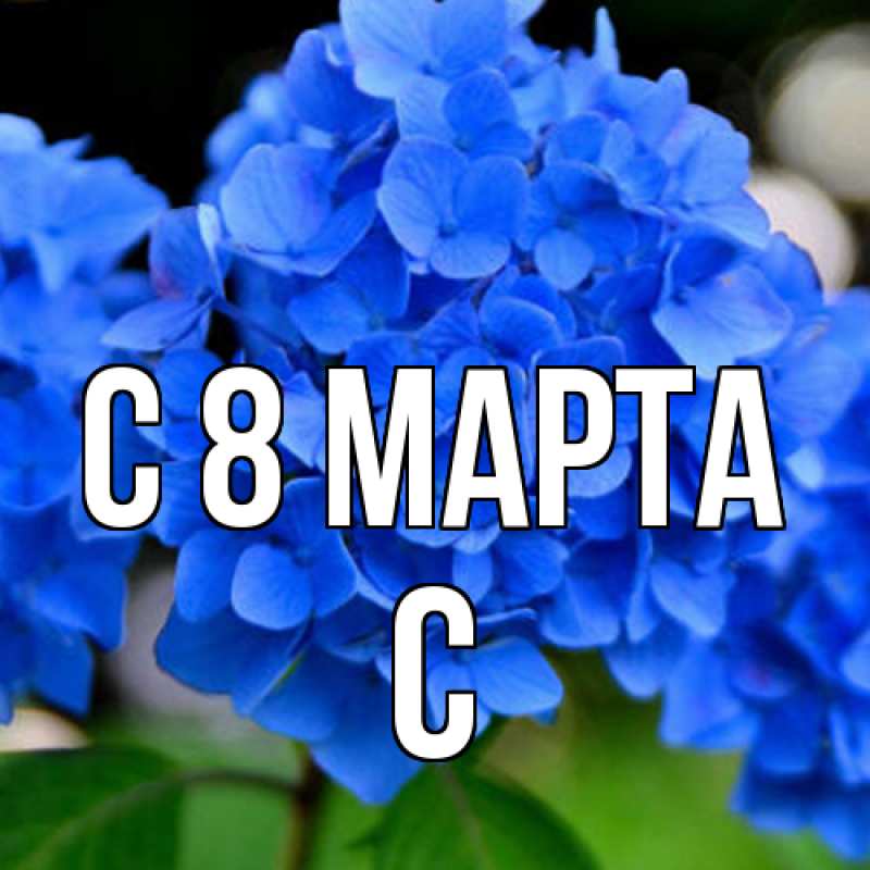 Картинка C 8 МАРТА, С
