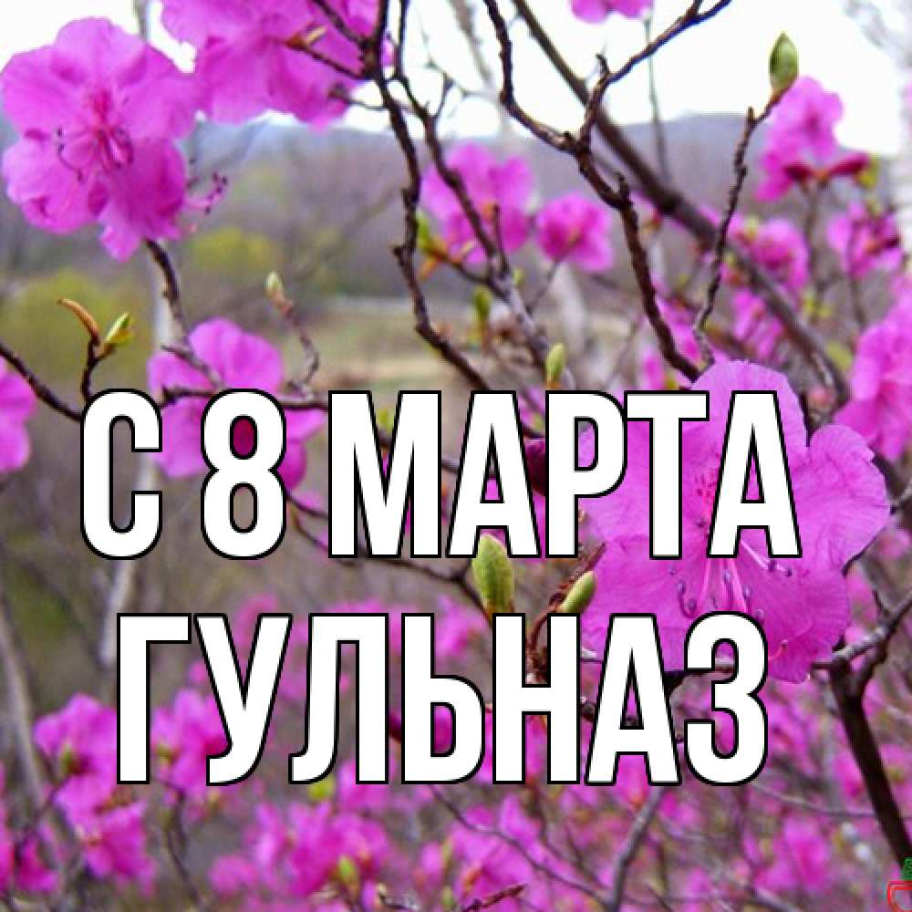 Открытка на каждый день с именем, Гульназ C 8 МАРТА международный женский день Прикольная открытка с пожеланием онлайн скачать бесплатно 