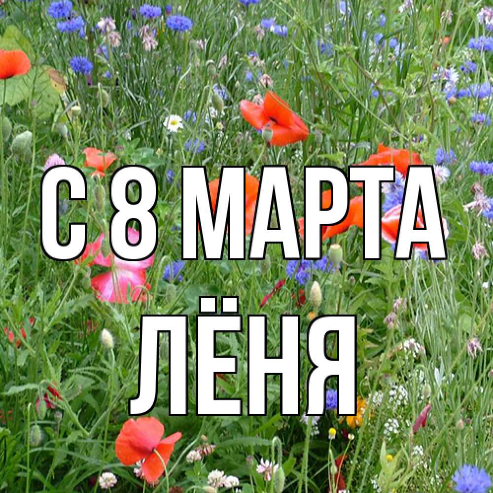 Открытка на каждый день с именем, Лёня C 8 МАРТА международный женский день 4 Прикольная открытка с пожеланием онлайн скачать бесплатно 