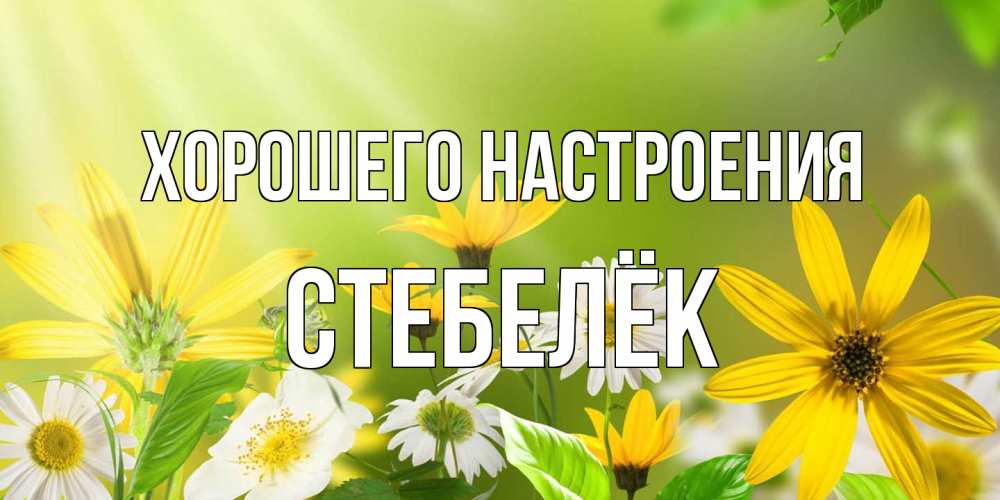 Открытка на каждый день с именем, Стебелёк Хорошего настроения цветы Прикольная открытка с пожеланием онлайн скачать бесплатно 