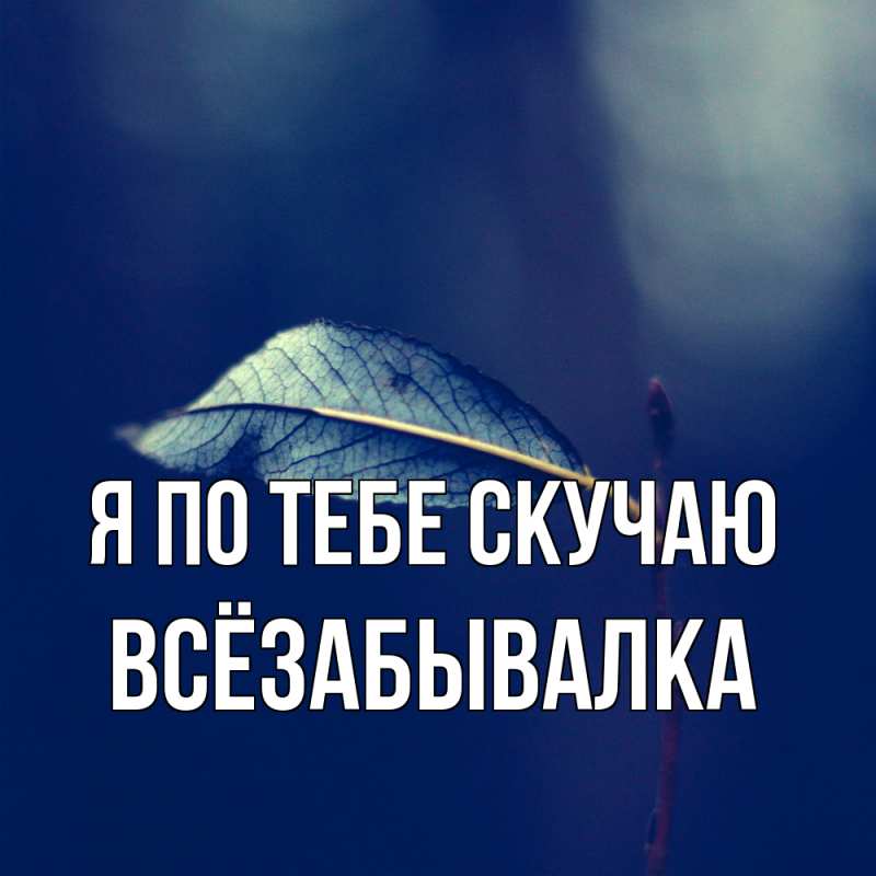 Картинка Я по тебе скучаю, Всёзабывалка
