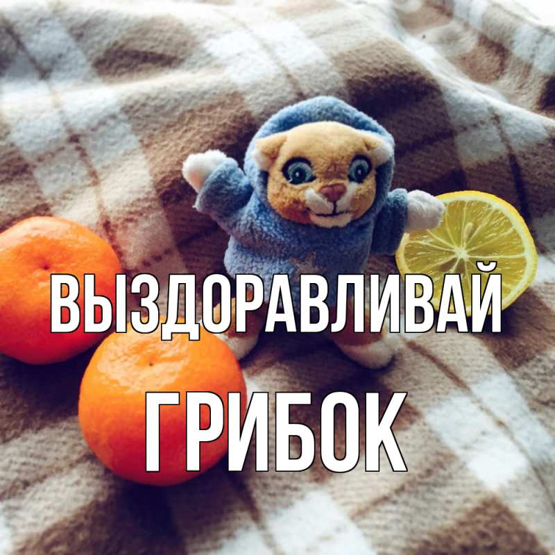 Картинка Выздоравливай, Грибок