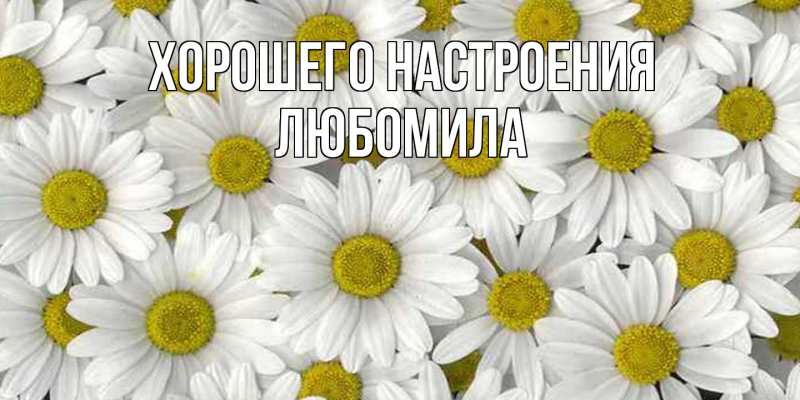 Картинка Хорошего настроения, Любомила
