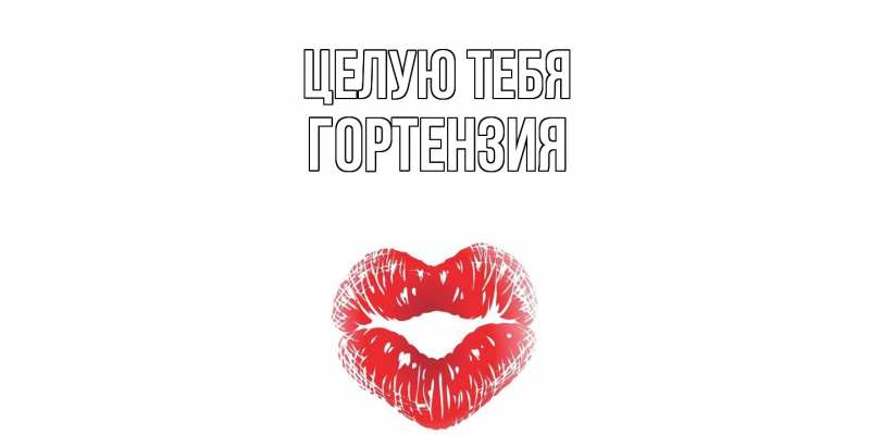 Картинка Целую тебя, Гортензия
