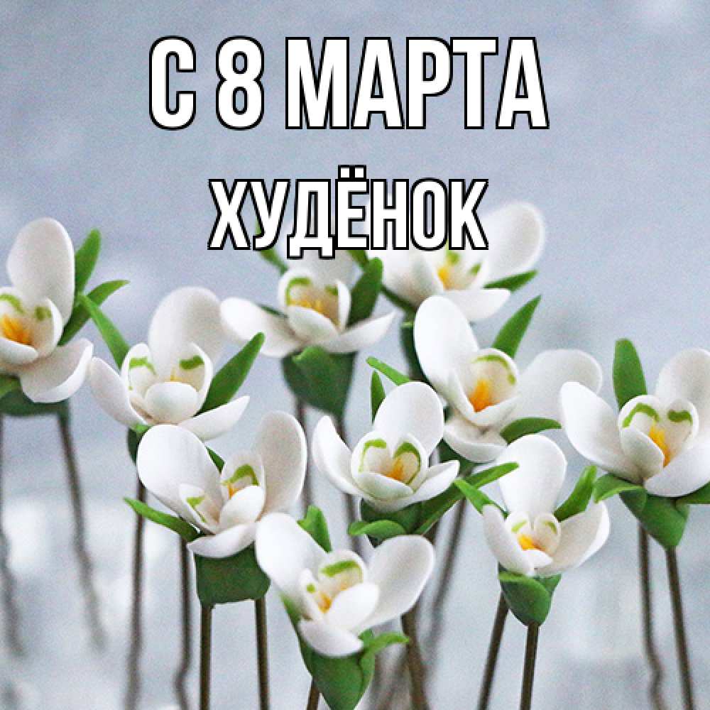 Открытка на каждый день с именем, худёнок C 8 МАРТА весенние цветы Прикольная открытка с пожеланием онлайн скачать бесплатно 