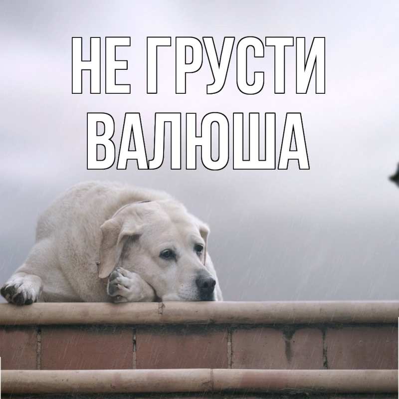 Картинка Не грусти, Валюша
