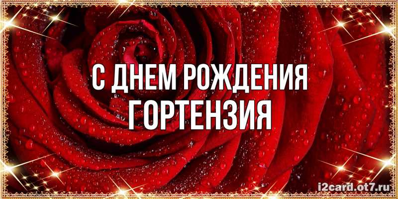 Картинка С днем рождения, Гортензия