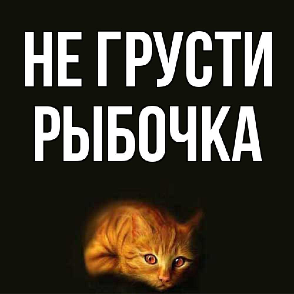 Открытка на каждый день с именем, рыбочка Не грусти лежащий кот в темноте Прикольная открытка с пожеланием онлайн скачать бесплатно 