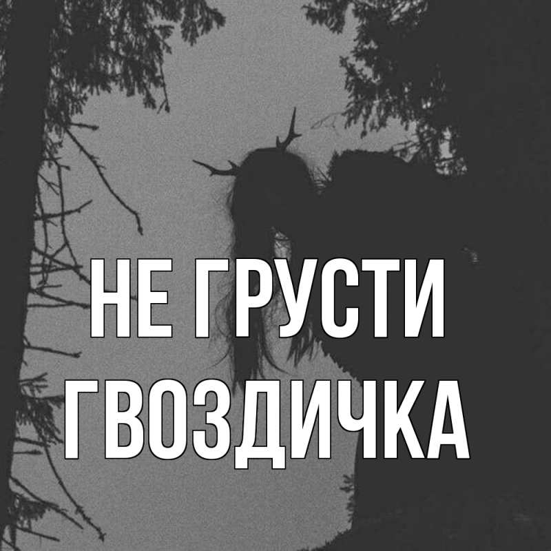 Картинка Не грусти, Гвоздичка