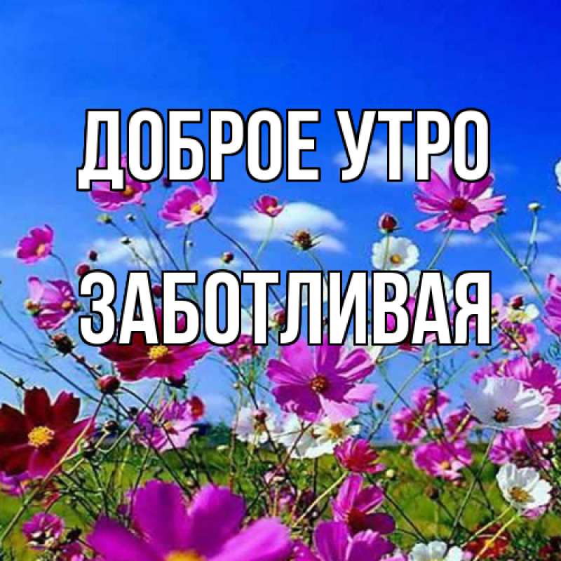 Картинка Доброе утро, Заботливая