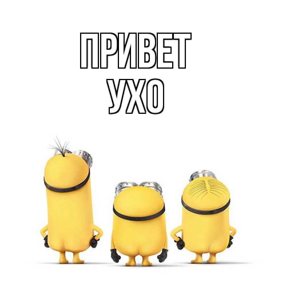 Открытка на каждый день с именем, Ухо Привет приветики Прикольная открытка с пожеланием онлайн скачать бесплатно 