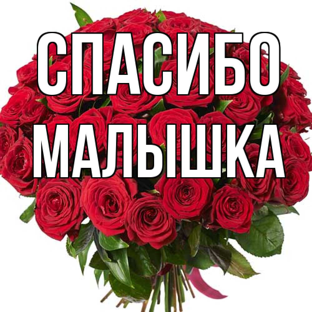 Открытка на каждый день с именем, малышка Спасибо букет красных роз Прикольная открытка с пожеланием онлайн скачать бесплатно 