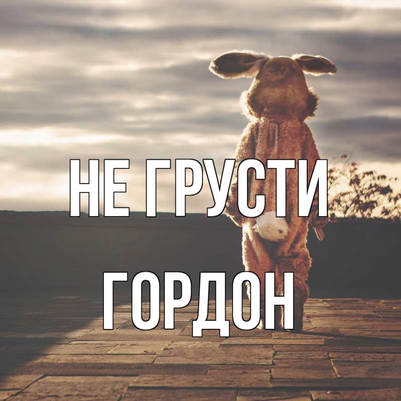Картинка Не грусти, Гордон