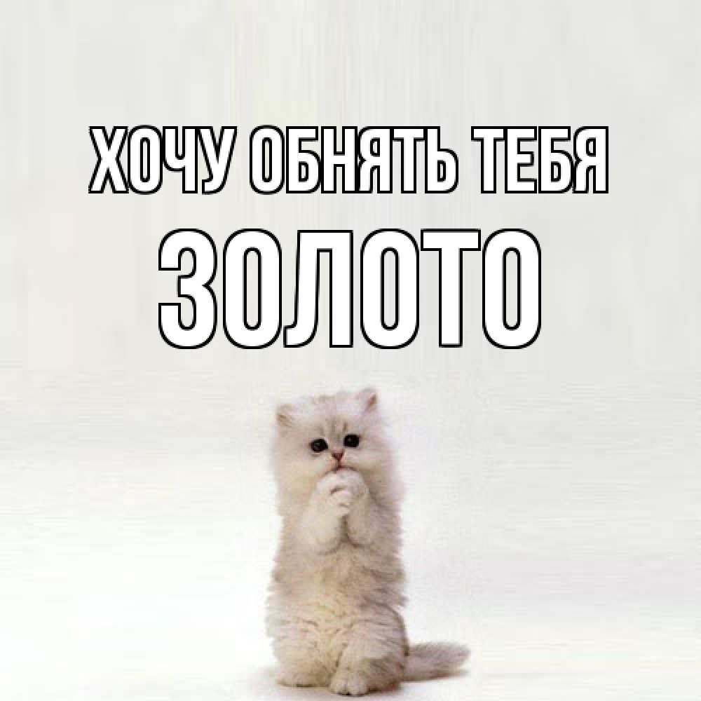 Открытка на каждый день с именем, Золото Хочу обнять тебя открытки с креативными подписями Прикольная открытка с пожеланием онлайн скачать бесплатно 