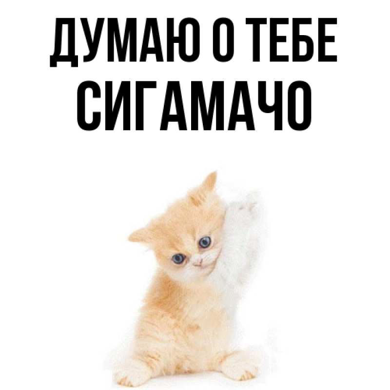 Картинка Думаю о тебе, Сигамачо