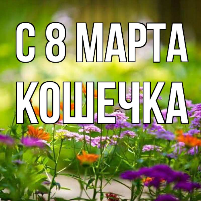Картинка C 8 МАРТА, кошечка