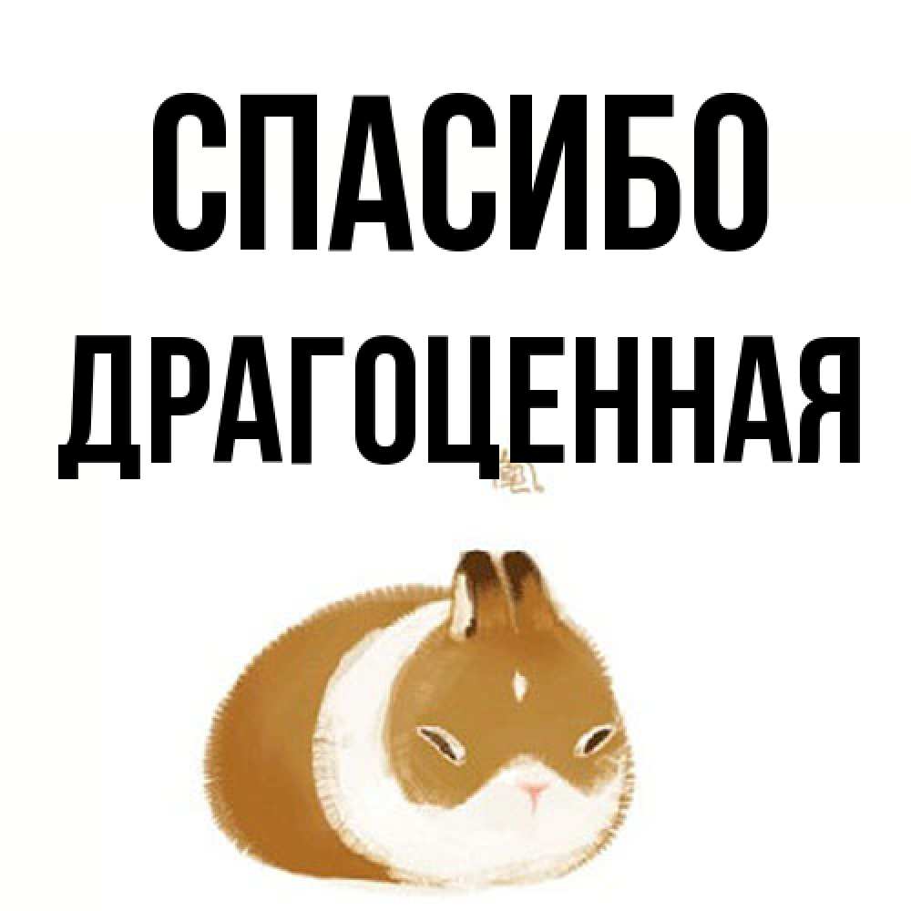 Открытка на каждый день с именем, Драгоценная Спасибо коричнево белый домашний питомец Прикольная открытка с пожеланием онлайн скачать бесплатно 