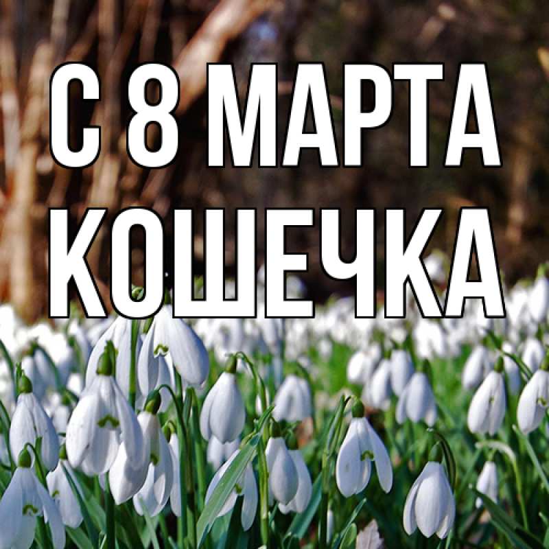 Картинка C 8 МАРТА, кошечка