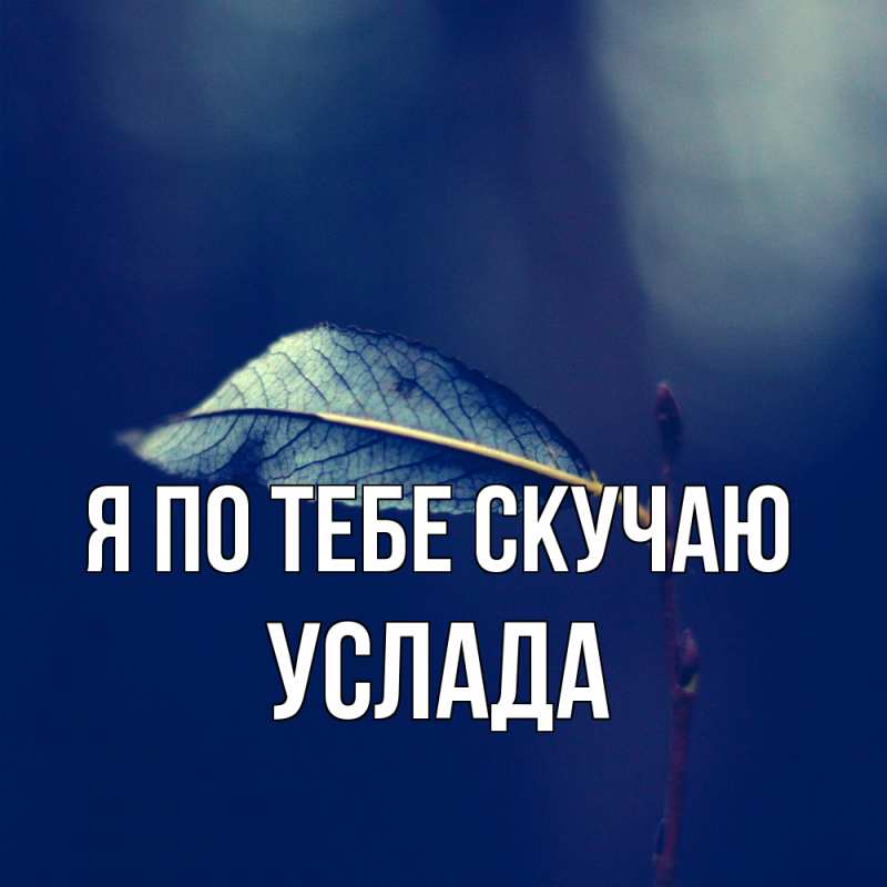 Картинка Я по тебе скучаю, услада