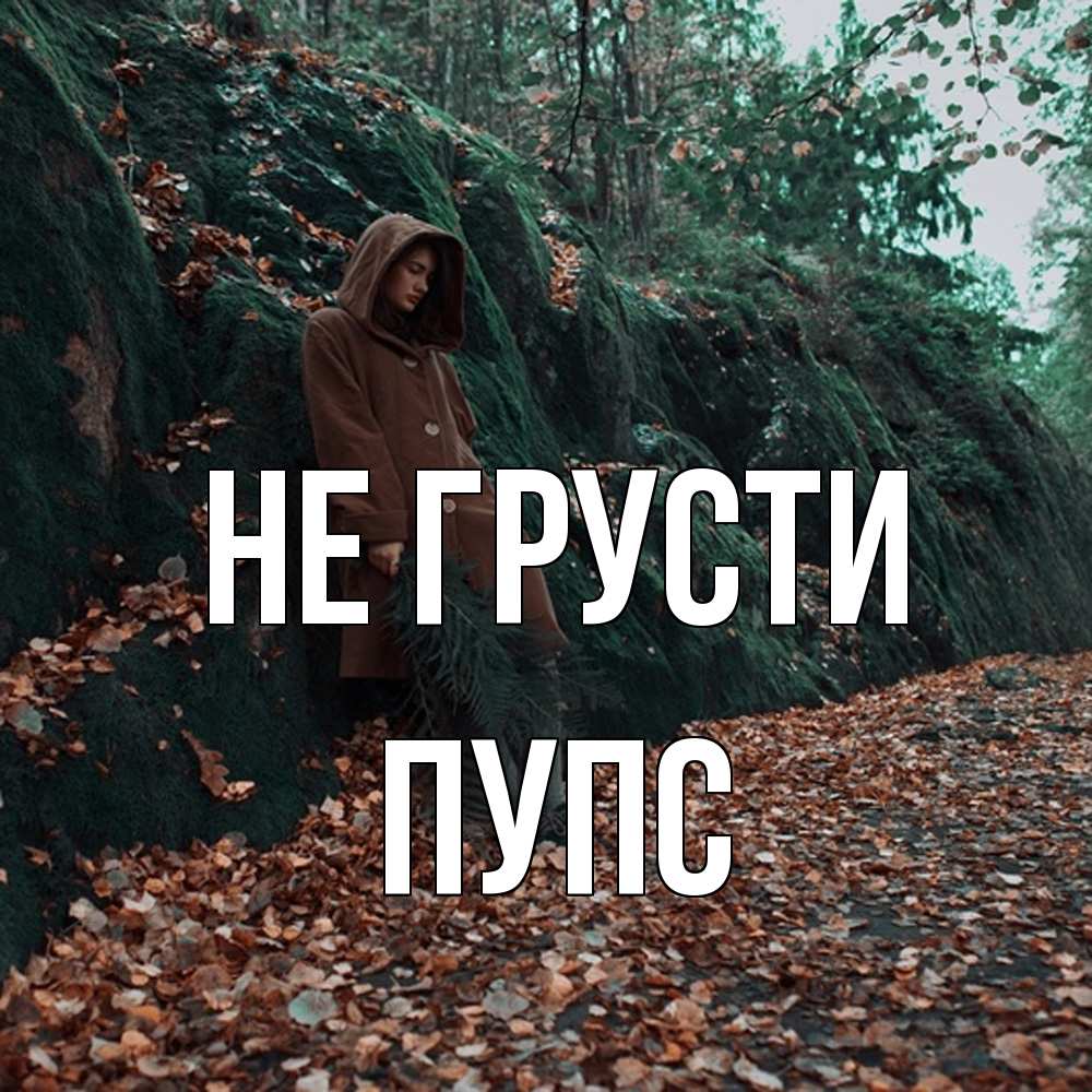 Открытка на каждый день с именем, Пупс Не грусти осенний лес Прикольная открытка с пожеланием онлайн скачать бесплатно 