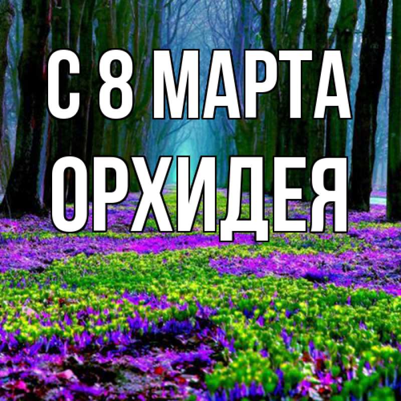 Картинка C 8 МАРТА, Орхидея