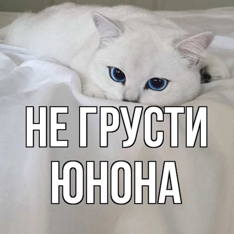 Картинка Не грусти, Юнона