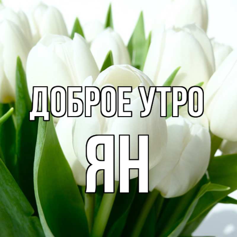 Картинка Доброе утро, Ян