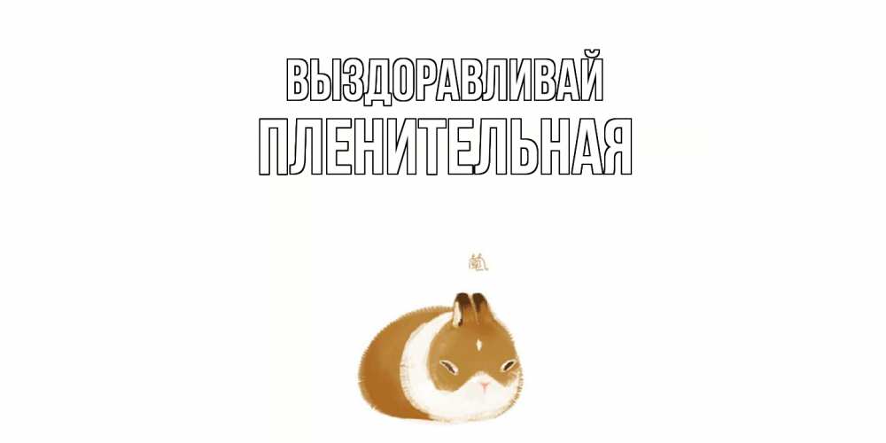 Открытка на каждый день с именем, пленительная Выздоравливай морская свинка на открытке с пожеланиями не болеть Прикольная открытка с пожеланием онлайн скачать бесплатно 