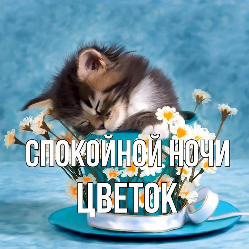 Картинка Спокойной ночи, Цветок