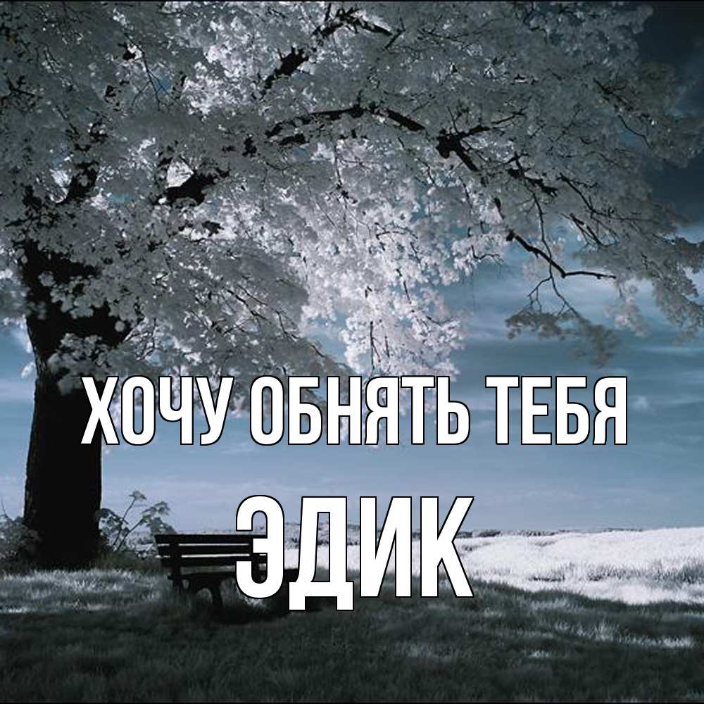 Открытка на каждый день с именем, Эдик Хочу обнять тебя дерево Прикольная открытка с пожеланием онлайн скачать бесплатно 