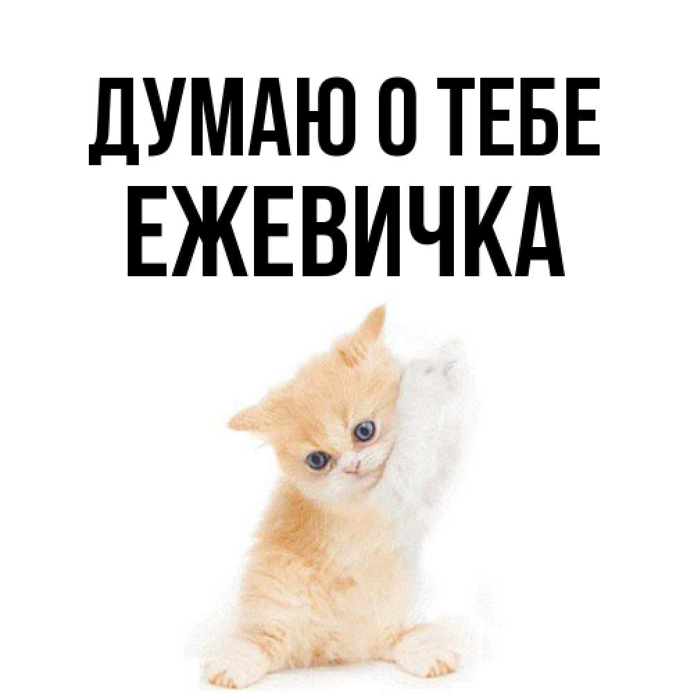 Открытка на каждый день с именем, ежевичка Думаю о тебе зверушки и милота Прикольная открытка с пожеланием онлайн скачать бесплатно 