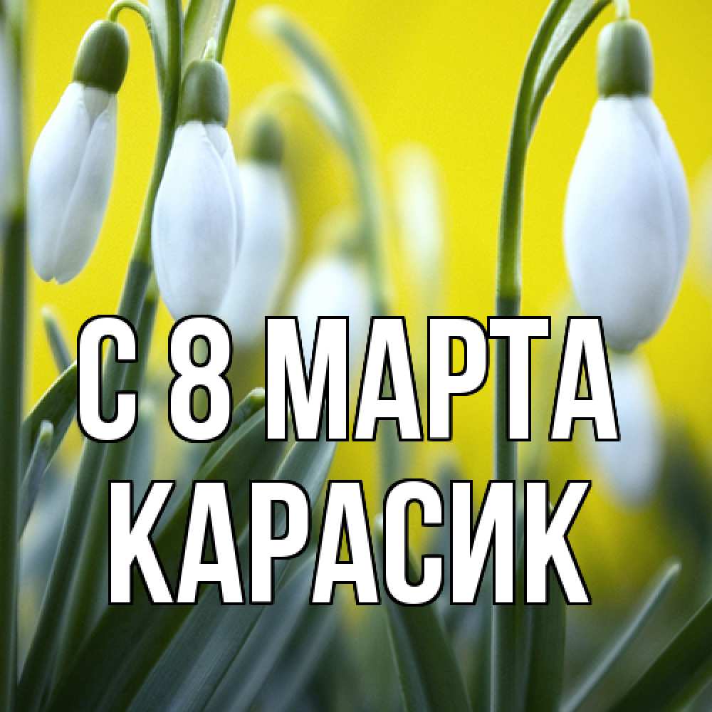 Открытка на каждый день с именем, карасик C 8 МАРТА весенние цветы Прикольная открытка с пожеланием онлайн скачать бесплатно 