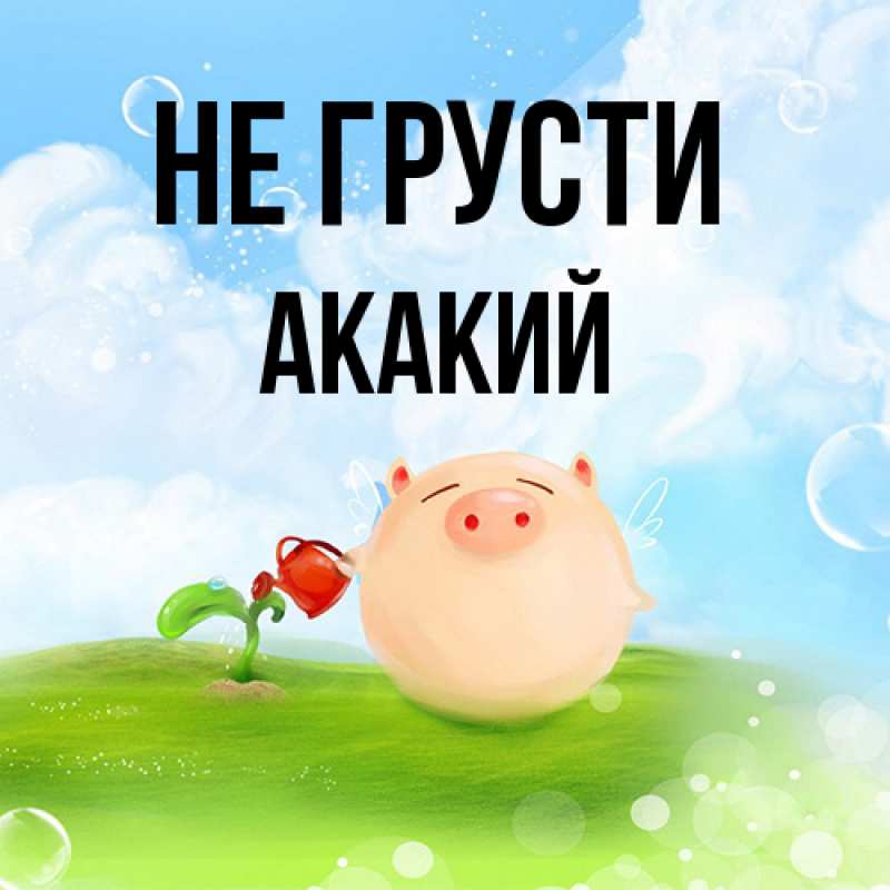 Картинка Не грусти, Акакий