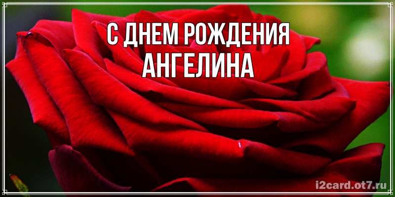 Картинка С днем рождения, Ангелина