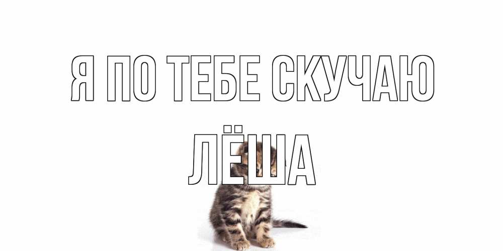 Открытка на каждый день с именем, Лёша Я по тебе скучаю кот Прикольная открытка с пожеланием онлайн скачать бесплатно 