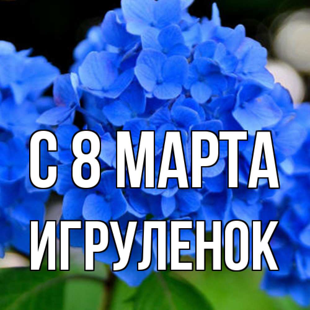 Открытка на каждый день с именем, Игpуленок C 8 МАРТА синие цветы Прикольная открытка с пожеланием онлайн скачать бесплатно 