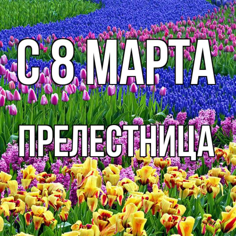 Картинка C 8 МАРТА, Прелестница