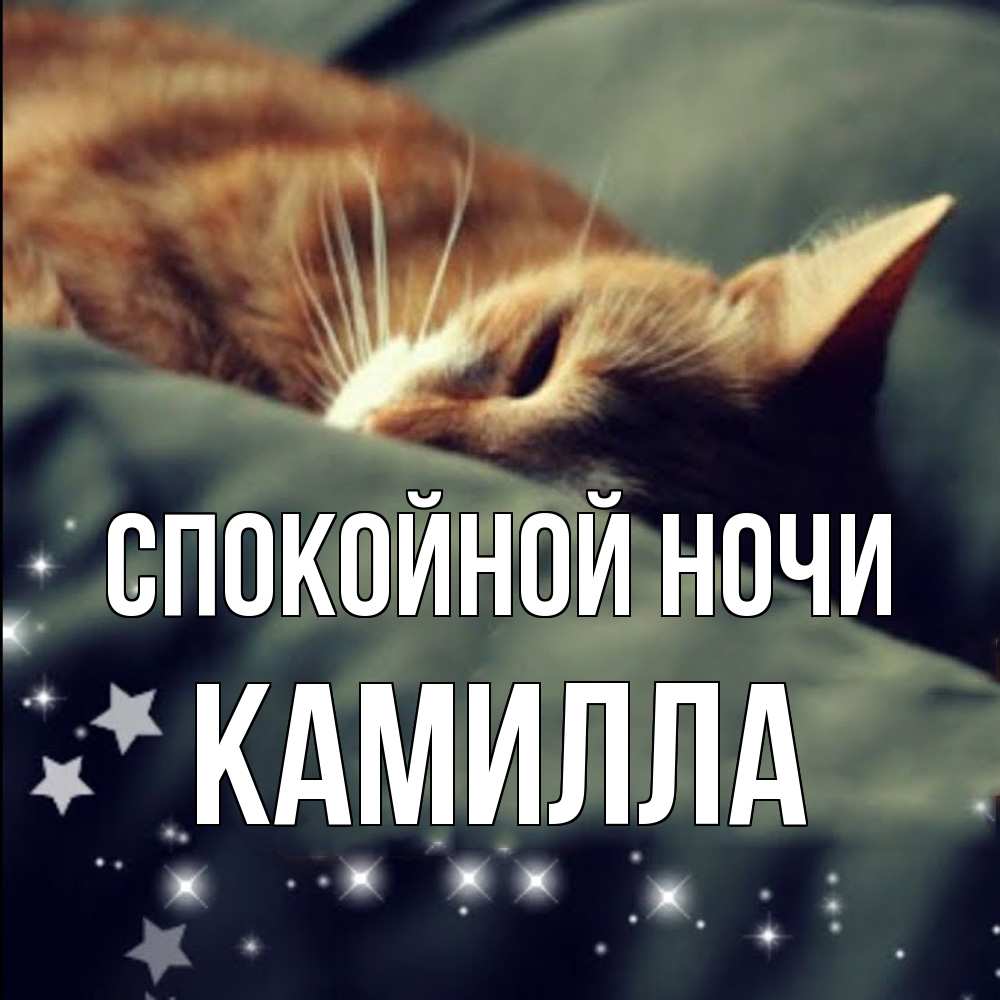 Открытка на каждый день с именем, Камилла Спокойной ночи кроватка Прикольная открытка с пожеланием онлайн скачать бесплатно 