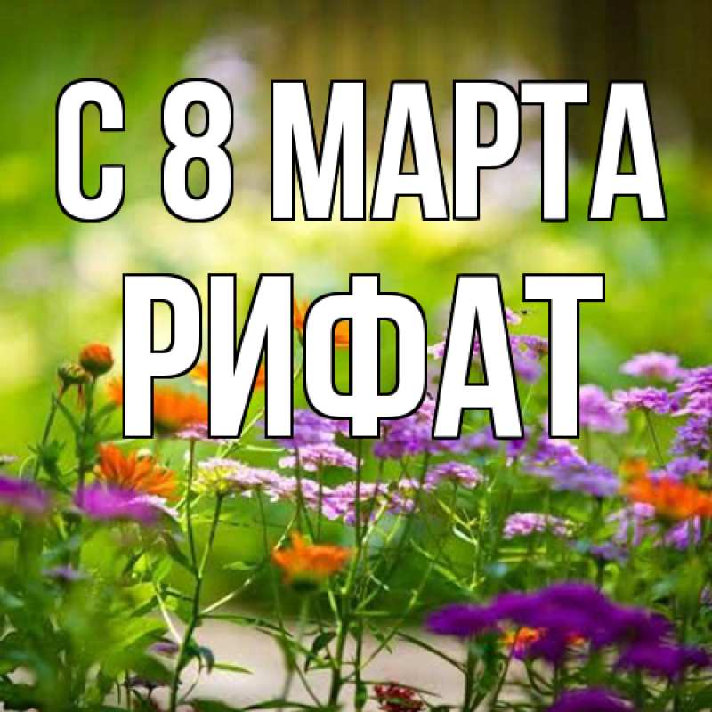 Картинка C 8 МАРТА, Рифат