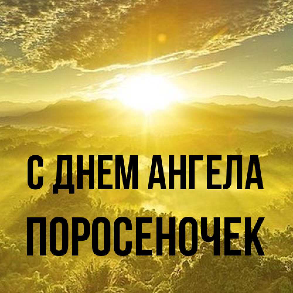 Открытка на каждый день с именем, поросеночек С днем ангела леса и небо в желтом Прикольная открытка с пожеланием онлайн скачать бесплатно 
