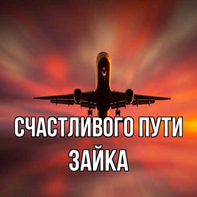 Картинка Счастливого пути, Зайка