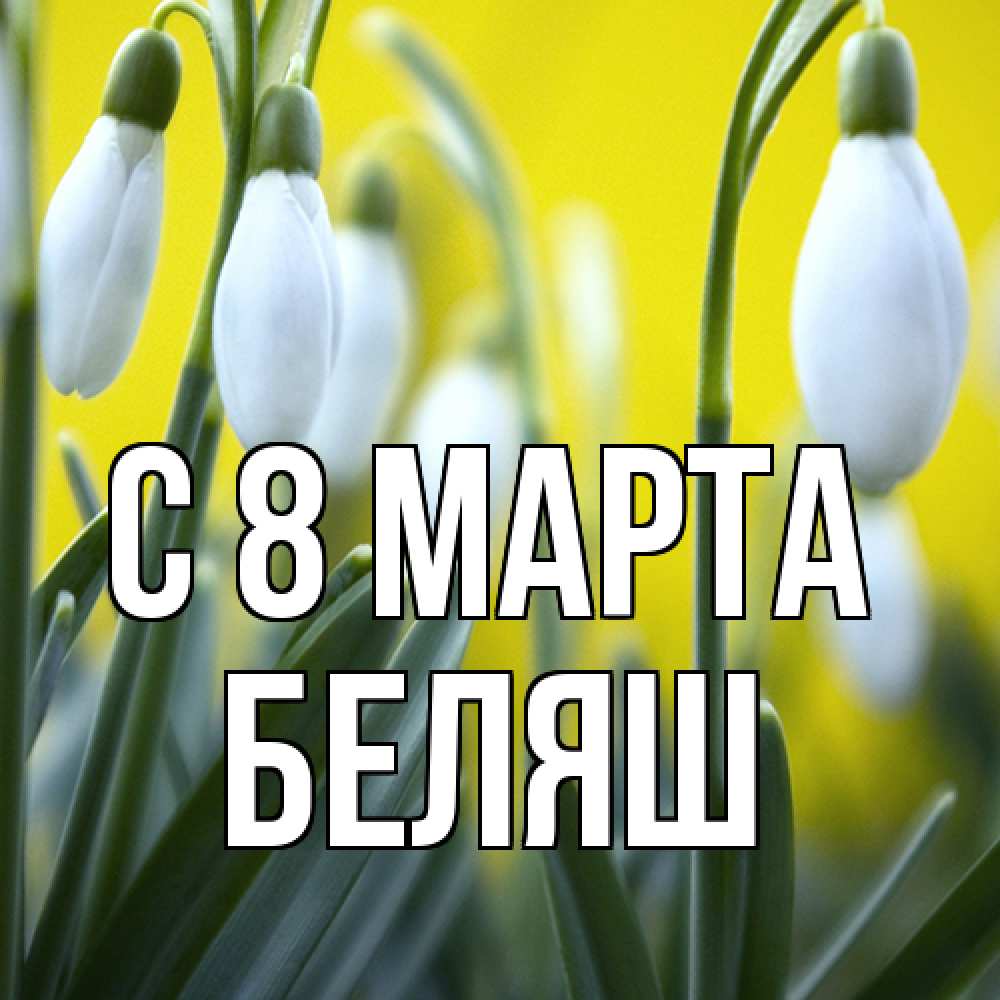 Открытка на каждый день с именем, Беляш C 8 МАРТА весенние цветы Прикольная открытка с пожеланием онлайн скачать бесплатно 