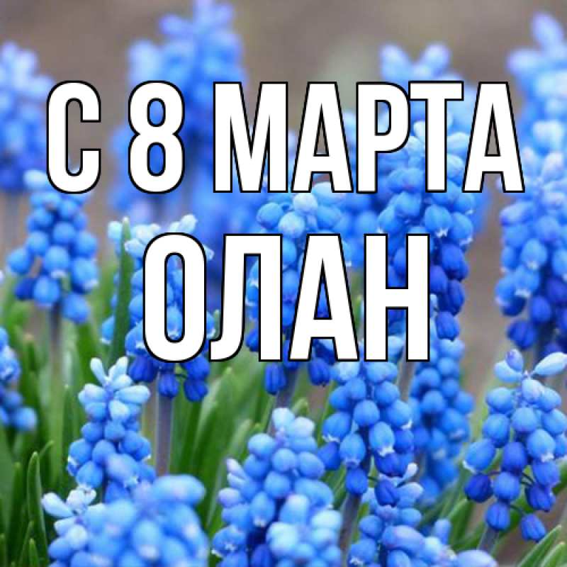 Картинка C 8 МАРТА, Олан